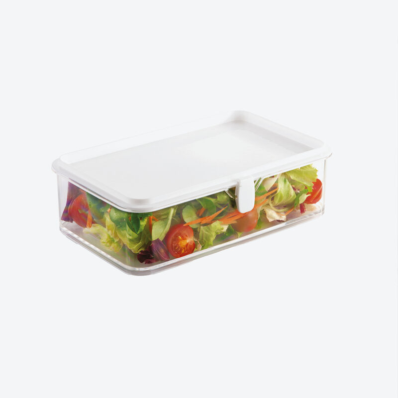  Kühlschrankdose Obst und Gemüse: Alles frisch und übersichtlich aufbewahren