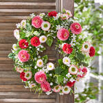 Produktbild f�r 'Luftig-leicht gebundener Belliskranz in dauerhafter Fr�hlingsfrische'