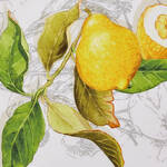 Produktbild f�r 'Tischdecke: Toskanische Leinen-Tischw�sche mit mediterranem Zitronenmotiv'