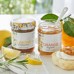 Produktbild fr 'Orange-Ingwer-Fruchtaufstrich (80 % Frucht): Kulinarische Alternative zu industrieller Einheitsmarmelade'