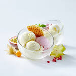 Produktbild fr 'Super attraktiv: Asymmetrische Vorspeisen- und Dessertschalen'