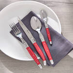 Produktbild fr 'Franzsisches Laguiole-Besteck'