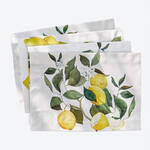 Produktbild f�r 'Fruchtig frisch: Original italienische Leinenservietten'