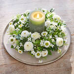 Produktbild f�r 'Immerbl�hender Belliskranz in stilvollem Creme'