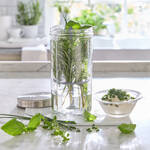 Produktbild f�r 'Kilner Kr�uterglas mit Deckel und Silikonstab'